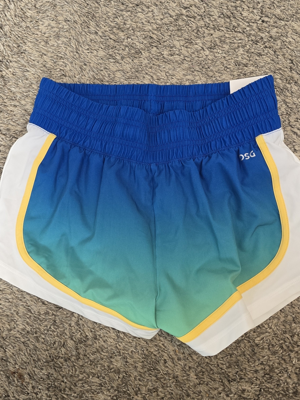 DSG Blue Ombre Shorts